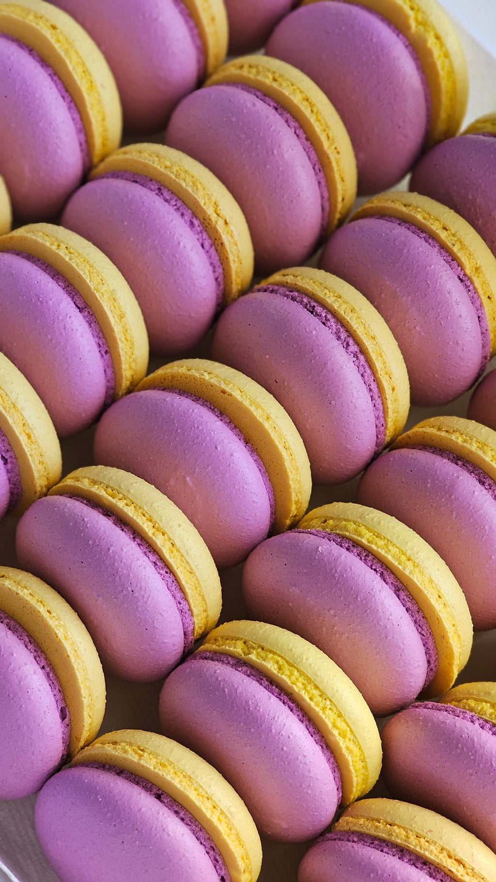 French macarons shells recipe by Love N Macarons
