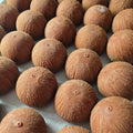 RECIPE Coconut Crunchy pastry By Love N Macarons